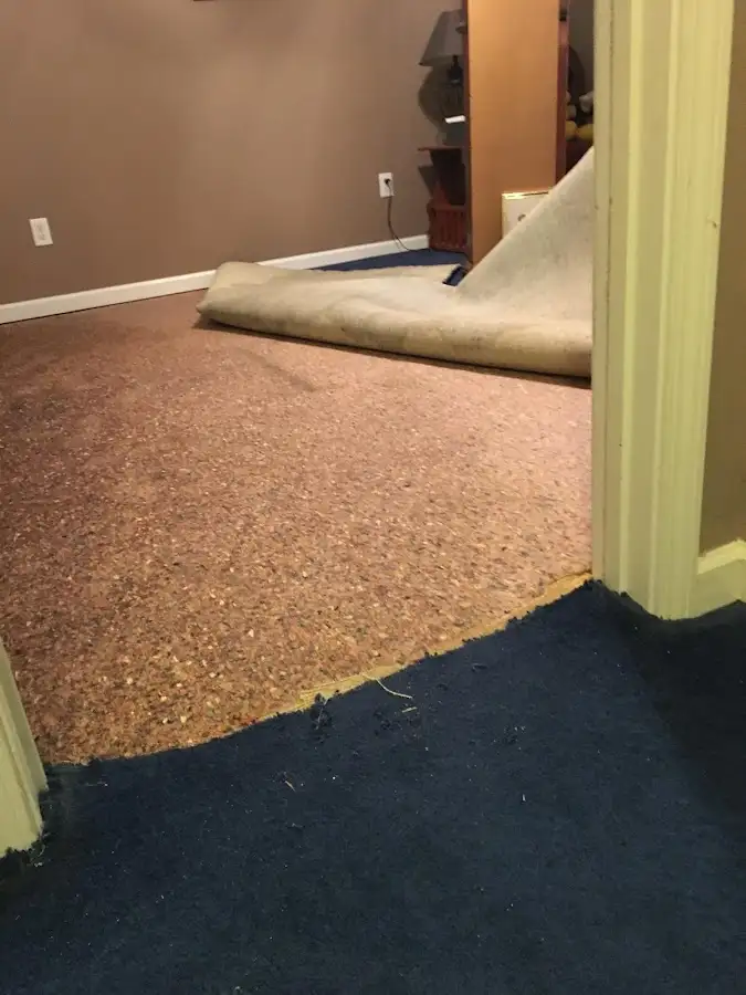 Carpet pad removal revealing water damage during Water Mitigation Services in Winston