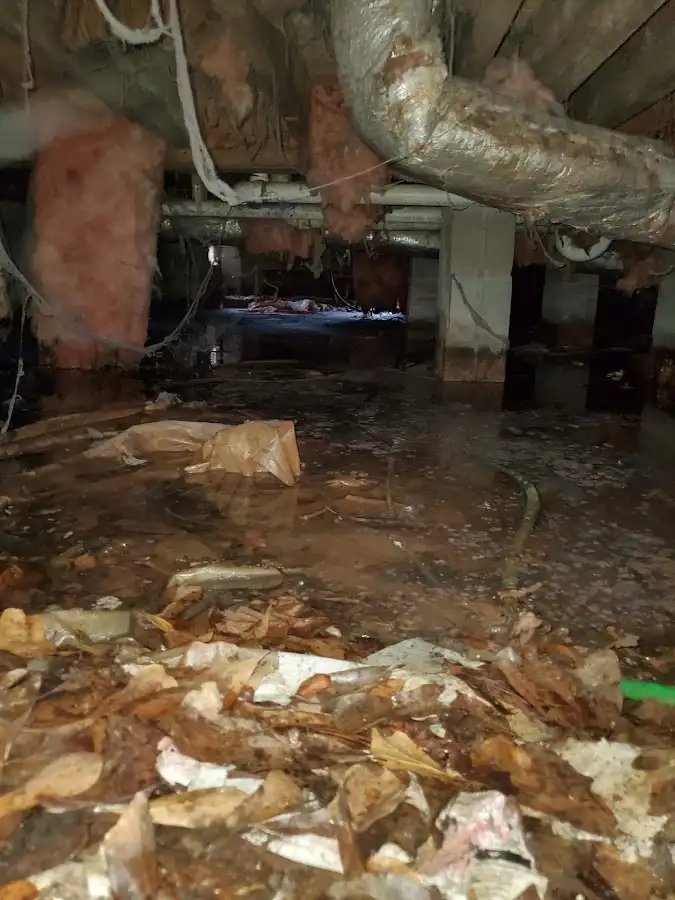 Crawl space flood assessment for Leak Detection & Repair in Winston